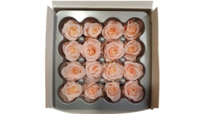 Rose-stabilsier-rosa-rosen-kleinkoepfig-Rosen-16-er-Pack-online-kaufen.jpg