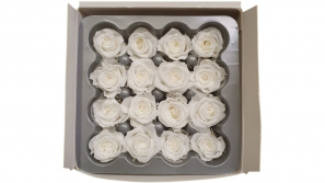 Rose-stabilsier-weiss-long-life-rosen-kleinkoepfig-Rosen-16-er-Pack-online-kaufen_2.jpg