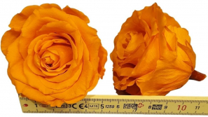 Rose-stabilsiert-orange-gross-online-kaufen_2.jpg