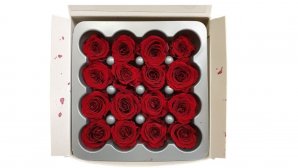 Rose-stabilsier-bordeaux-long-life-rosen-kleinkoepfig-Rosen-16-er-Pack-online-kaufen.jpg