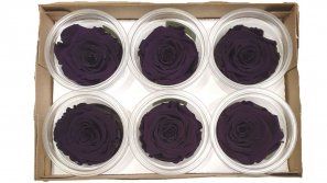 Rose-stabilsiert-violett-online-kaufen.jpg